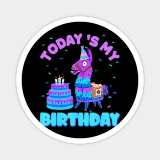 Todays My Birthday Llama Boy Family Party Decorations Magnet